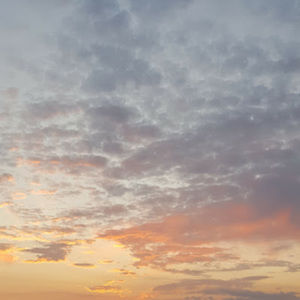 Meet your Posher, Manon